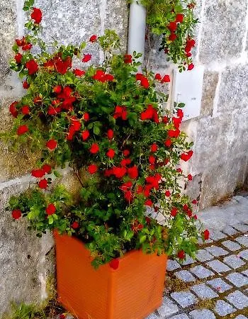 Casa O Torgal * パラーダ・デ・シル