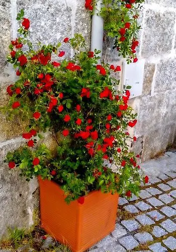 Casa O Torgal * Parada del Sil