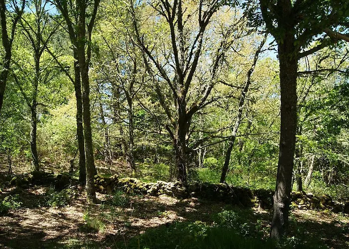 Casa O Torgal Parada del Sil